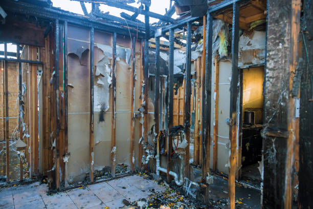 Professional Emergency Fire Cleanup technician working in Gainesville, VA